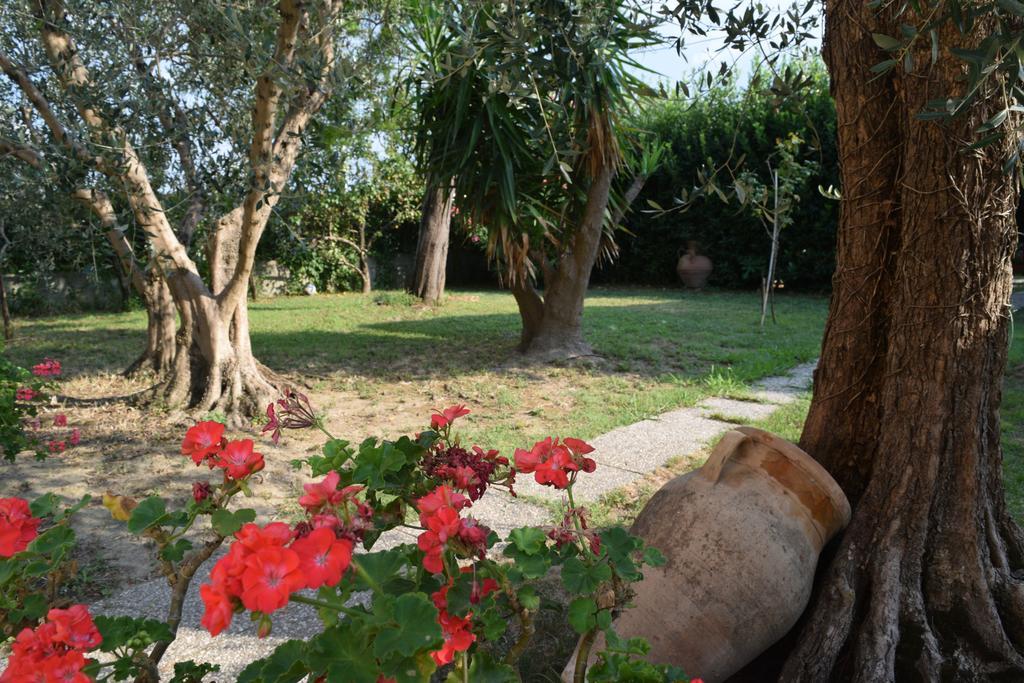 La Convenienza Bed and Breakfast Uliveto Terme Buitenkant foto